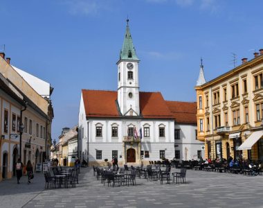 VJECNICA2-2